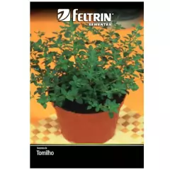 Sementes de Tomilho/Timo FELTRIN
