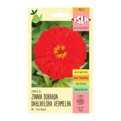 Sementes Zinnia Dahliaflora Vermelha Gigante Califórnia ISLA