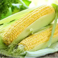 Sementes de Milho Doce Azteca Blueline TOPSEED - Cultiv.me