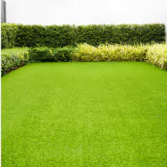 Sementes de Grama para Jardim (Folha Fina) Blueline TOPSEED - Cultiv.me