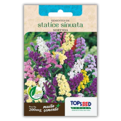 Semente de Statice Sinuata (Sortida) TOPSEED