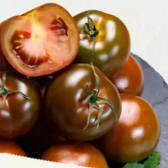 Sementes Tomate Diamante Negro ISLA na internet