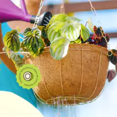 Vaso Cuia Nutricoco Gigante (8,74L) NUTRIPLAN na internet