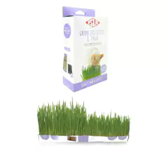 Kit de Cultivo Grama de Gato e Trigo (Linha Pet) ISLA - comprar online
