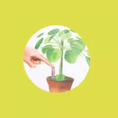 Fertilizante Orgânico Vegano (330g) MR.SPIKE na internet