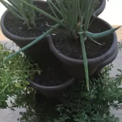 Imagem do Vaso Empilhável Treviso (41X39X16) Preto OKLA