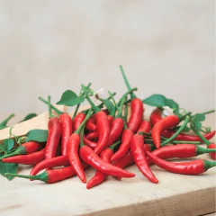 Semente de Pimenta Dedo de Moça Blueline TOPSEED - loja online