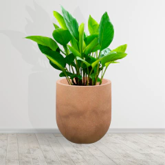 Vaso Cilíndrico Liso 33 (20L) Cor Macchiato JAPI - Cultiv.me