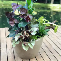 Vaso Copacabana Bowl (30X16) Antique Camurça VASART - comprar online