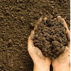 Terra Vegetal Natural (2Kg) ALL GARDEN - loja online