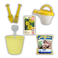 Imagem do Kit Infantil Para Jardinagem "Meu Primeiro Girassol"