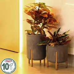 Vaso Cilíndrico Decore 34 (28L) Verde Musgo JAPI