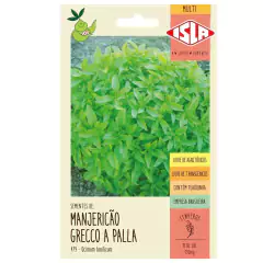 Sementes de Manjericão Grecco a Palla ISLA