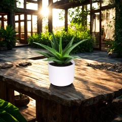 Vaso Cachepô Cerâmico Hanover 11 (11x9) Cor Branca JAPI - loja online