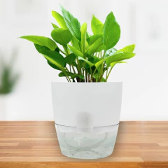 Vaso Acqua Autoirrigável (12x14) Cor Branco VASART - loja online