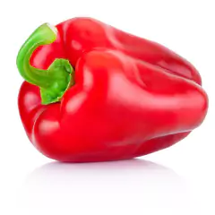 Sementes de Pimentão Rubi Gigante FELTRIN - comprar online
