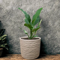 Imagem do Vaso Delhi 33 (19L) Cor Macchiato JAPI