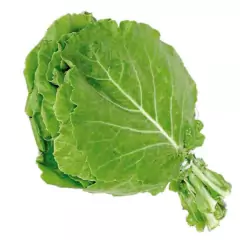 Sementes de Couve-Manteiga da Geórgia (50g) TOPSEED - comprar online