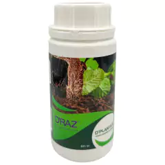 D'RAZ Fertilizante Enraizador Concentrado (200ml) D'PLANTA - comprar online