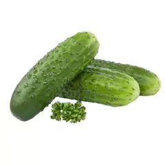 Sementes de Pepino Híbrido Imperial Blueline TOPSEED - loja online