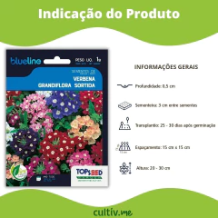 Semente de Verbena Grandiflora (Sortida) Blueline TOPSEED - Cultiv.me