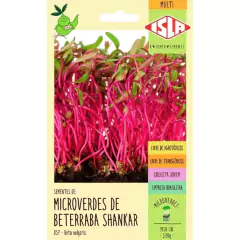 6X Sementes Brotos Microverdes [Kit Cores Variados] ISLA - loja online