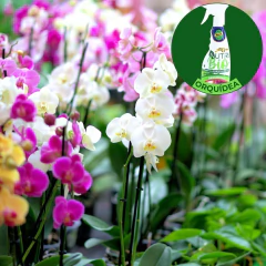 Fertilizante Natural Orquídea Nutri Bio (500ML) ALL GARDEN - loja online