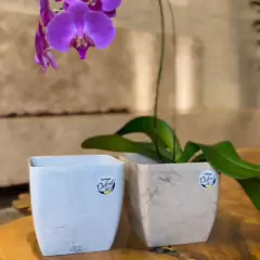 Vaso Quadrado Oxford (9,5X8) Bege Travertino OKLA