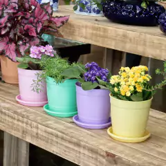 Imagem do Vaso Aquarela com Prato Nº3,5 Lilás (1,7L) NUTRIPLAN