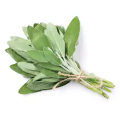 Sementes de Sálvia TOPSEED - comprar online