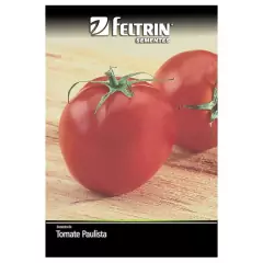 Sementes de Tomate Paulista Santa Clara FELTRIN
