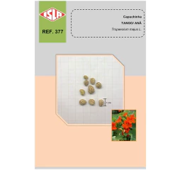 Sementes de Capuchinha Anã Tango ISLA - comprar online