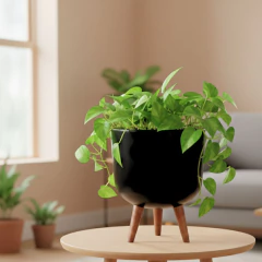 Imagem do Vaso Doha Médio Pé Palito (31x25) Preto ALPE E ARITANA