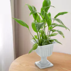 Vaso Taça Quadrado Pequeno (700L) Coffee INJEPLASTEC