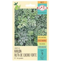 Sementes Arruda Ruta de Cheiro Forte Isla