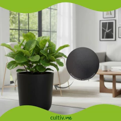 Vaso Cilindro Com Prato (37x43) Cor Carvão OVASO - Cultiv.me