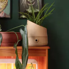 Vaso Autoirrigável Copo de Leite G (37X40) Cor Basalto BROTA - comprar online