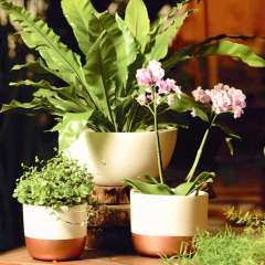 Imagem do Vaso Cerâmica Classic (15) Off White Bronze BURGUINA