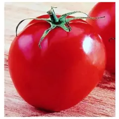 Sementes de Tomate Paulista Santa Clara FELTRIN - comprar online