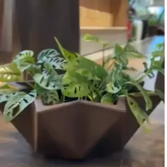 Vaso Origami 23 (28,7L) Café Imperial NUTRIPLAN