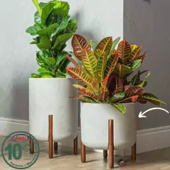 Vaso Cilíndrico Decore 33 (16L) Off-White JAPI - comprar online