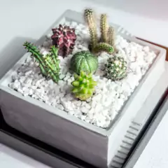 Pedra Decorativa Brita Branca Média (800g) VITAPLAN - Cultiv.me
