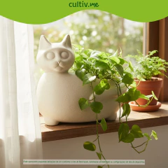 Vaso Mascote Gato 30 Cor Cimento NUTRIPLAN - Cultiv.me