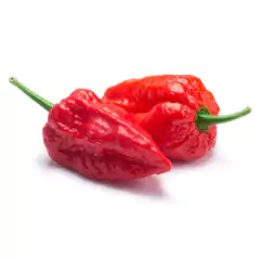 Sementes de Pimenta Bhut Jolokia Aimoré Super ISLA - comprar online