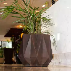 Vaso Origami 51 (69,2L) Café Imperial NUTRIPLAN - comprar online