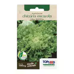 Sementes Chicória Lisa (Escarola) TOPSEED