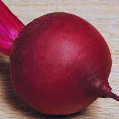 Sementes de Beterraba Early Wonder (50g) TOPSEED - Cultiv.me