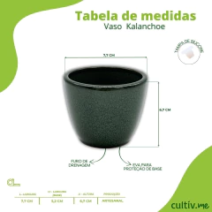 Vaso Cerâmica Kalanchoe (06) Verde Acinzentado BURGUINA - comprar online