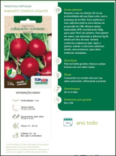 Sementes Rabanete Crimson Gigante TOPSEED - comprar online