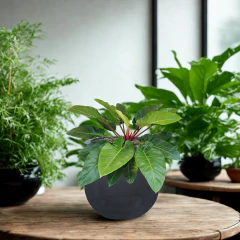 Vaso Cilíndrico Rústico 33 (20L) Cor Grafite JAPI - Cultiv.me